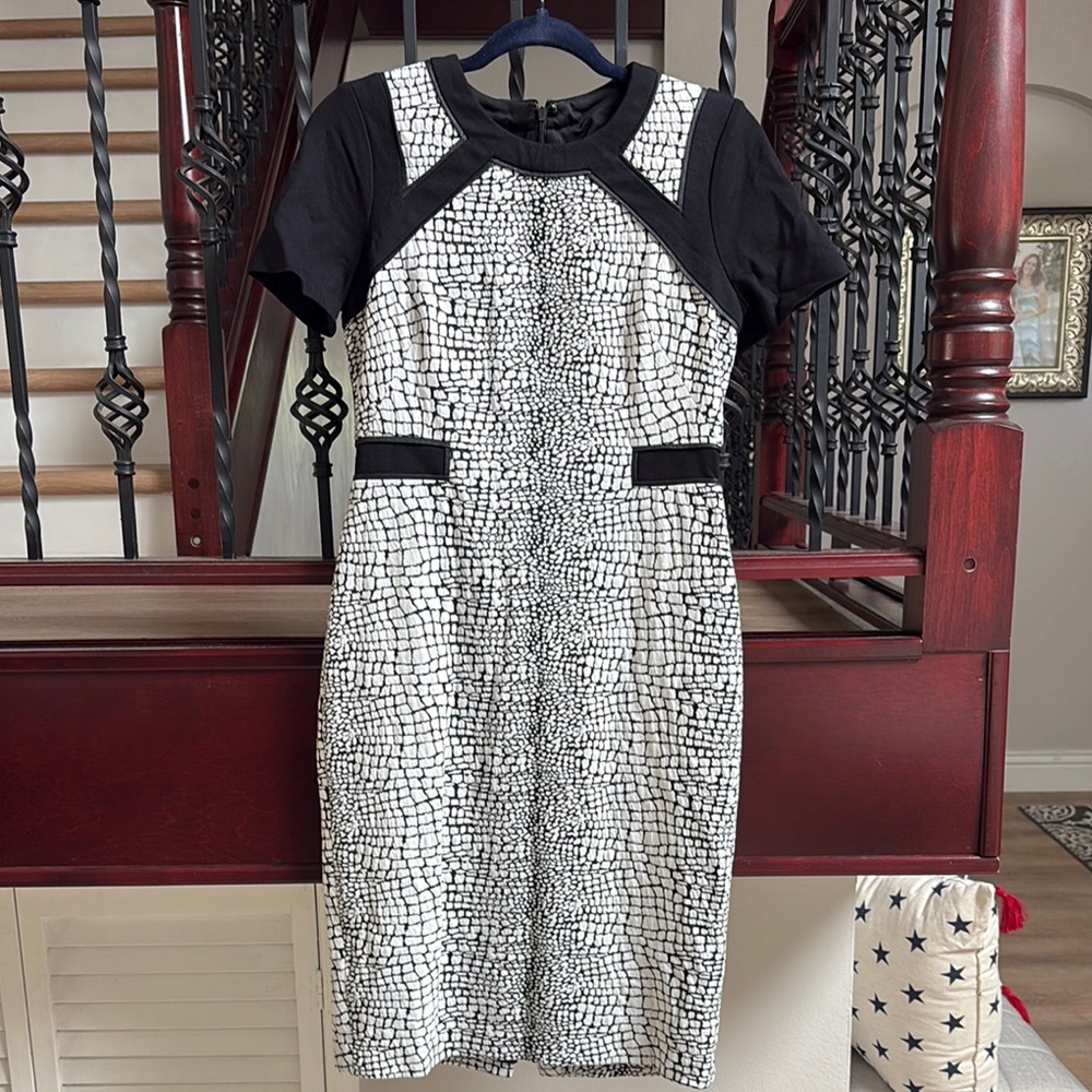 Elegant Black and White Women's Dress